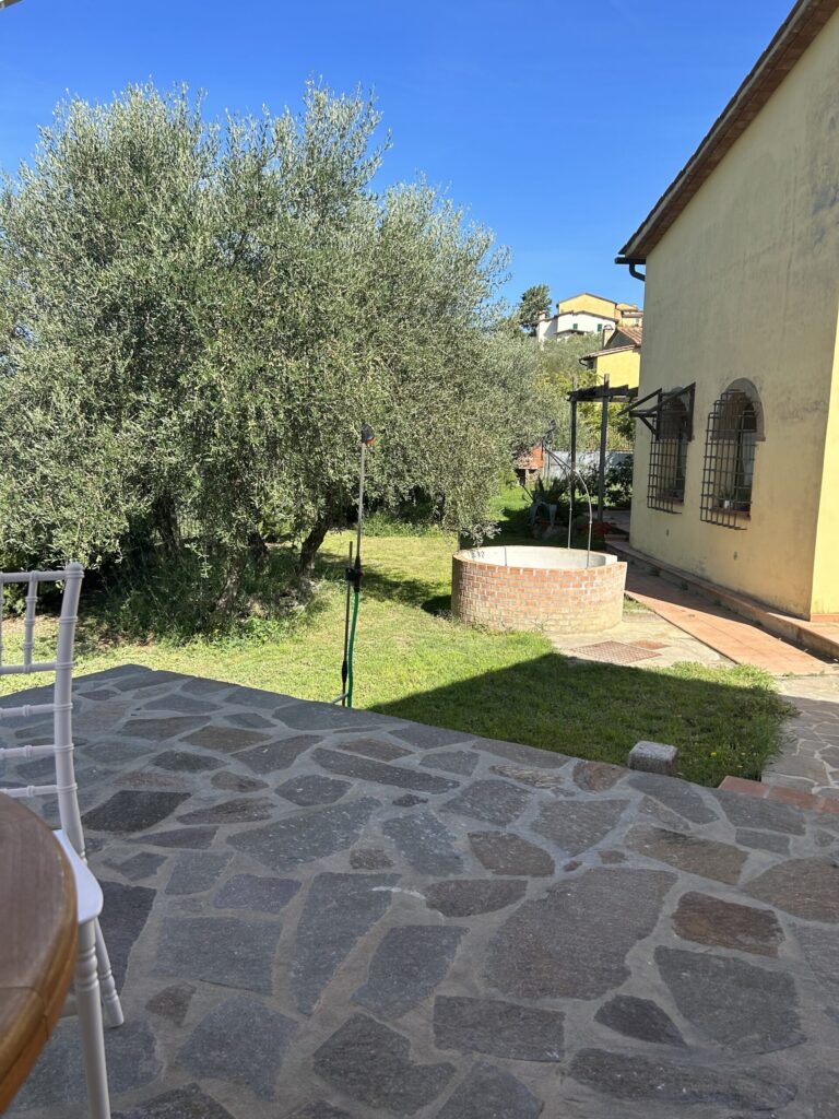 Spazio esterno e giardino con olivi del Matana B&B