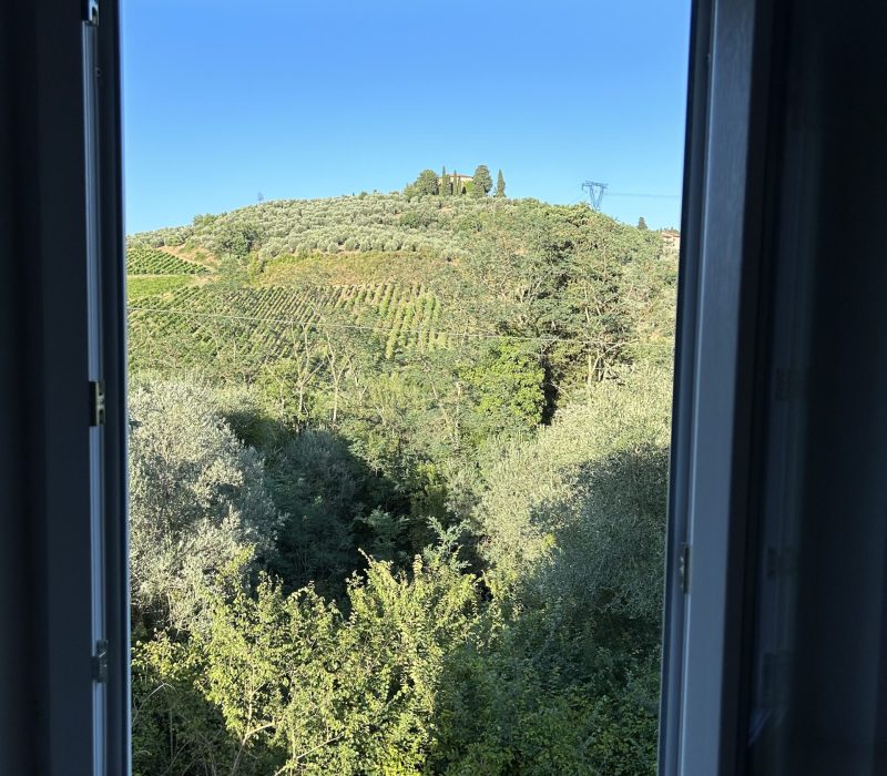 Vista dalla finestra sulle colline, i vigneti e gli ulivi di Carmignano